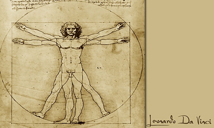 Hình vẽ Người Vitruvius của Leonardo da Vinci. Ảnh: WordPress